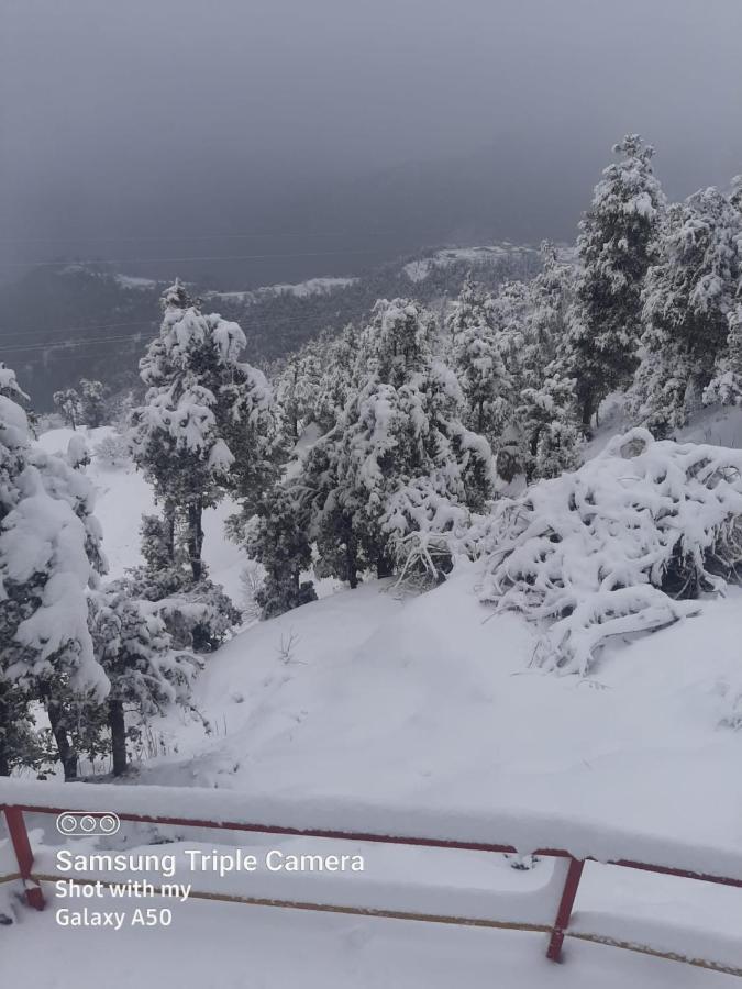 Dev Bhoomi Resort 카나탈 외부 사진